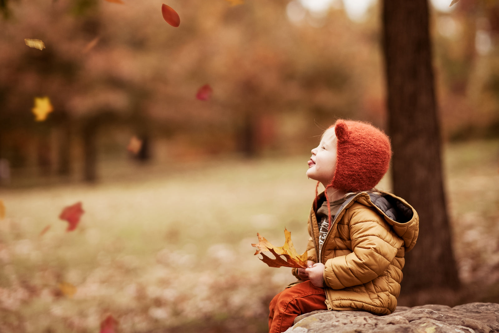 Making Magic with Overlays! – Fall Edition