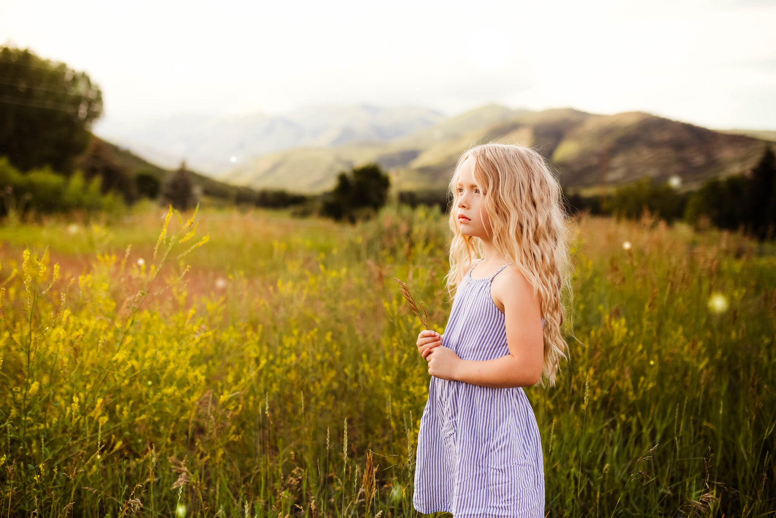 5 Tips for Getting Creative in Lightroom