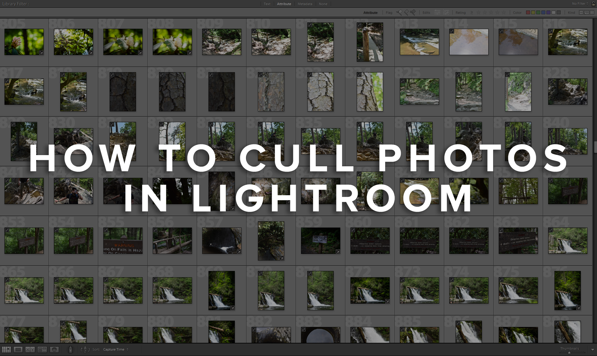 How to Use Lightroom: Culling of Photos in Lightroom