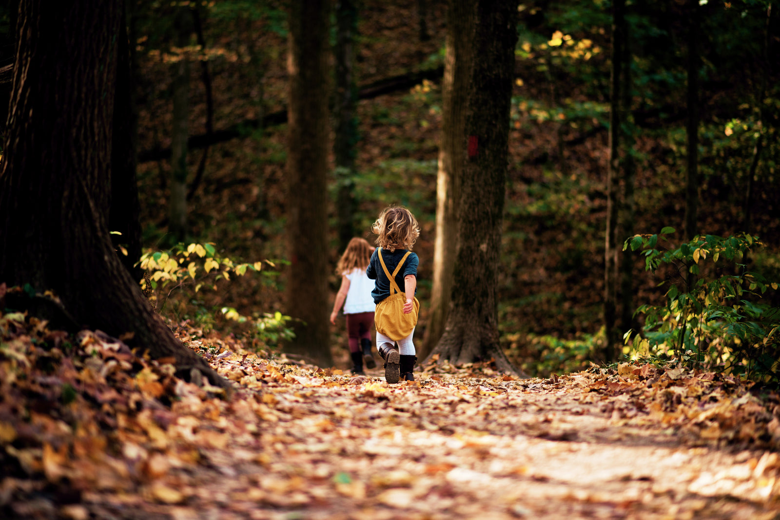 Video Editing with LUTs for Mobile