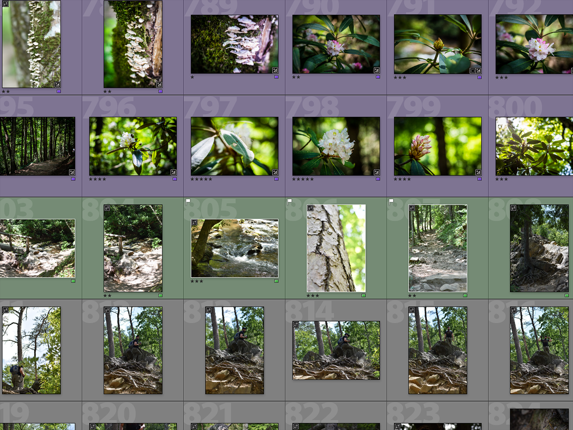 How to Use Lightroom: Culling of Photos in Lightroom Part 2