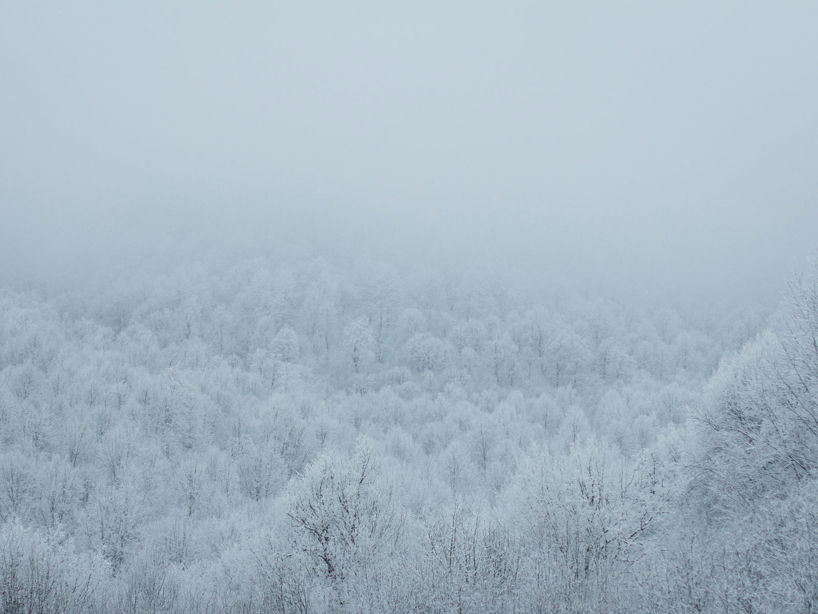 3 Steps to Own the Slow This Season