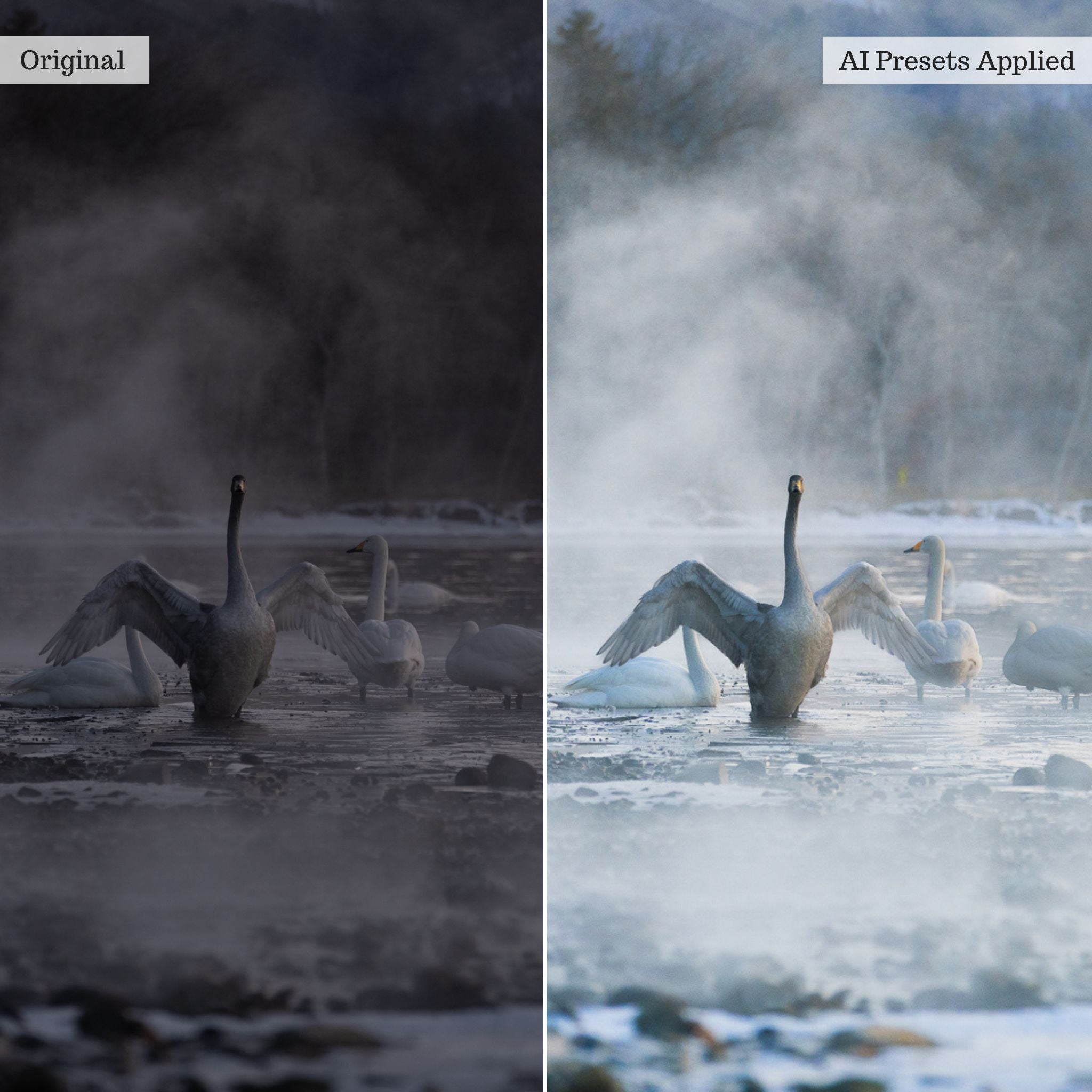 Rapid Retouch AI Adaptive Presets by PhotogAI