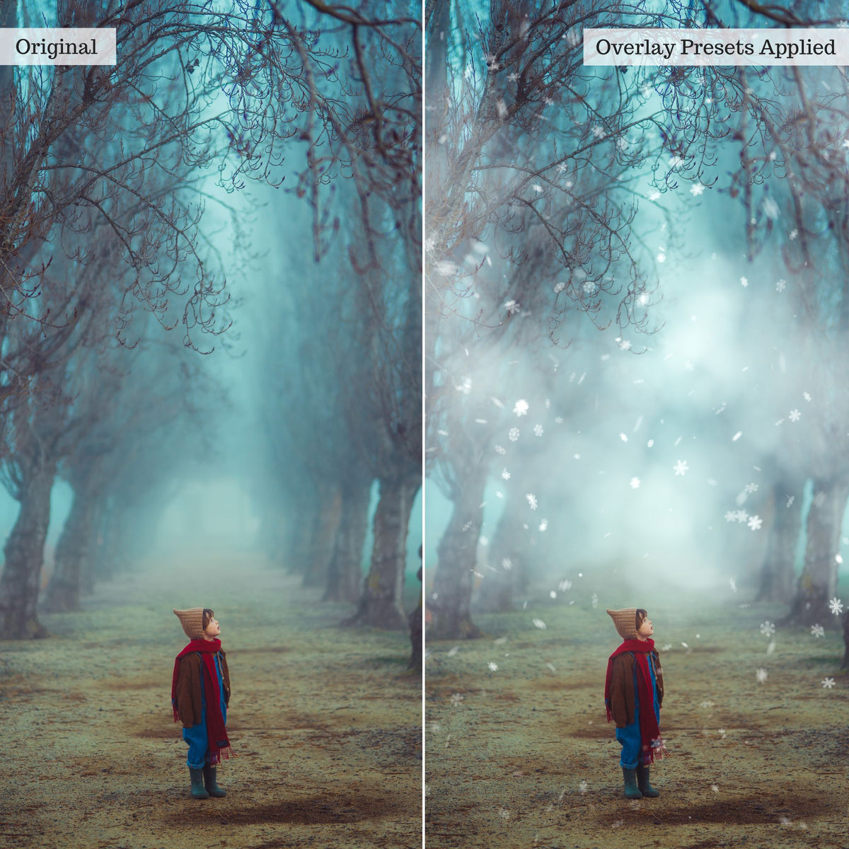 Luxe Overlay Lightroom Presets – Desktop & Mobile