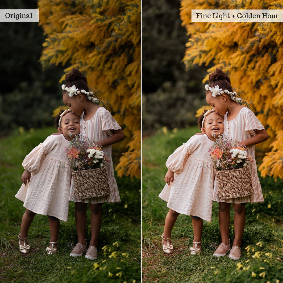 Luxe Pure Color Lightroom Presets & Profiles – Desktop & Mobile