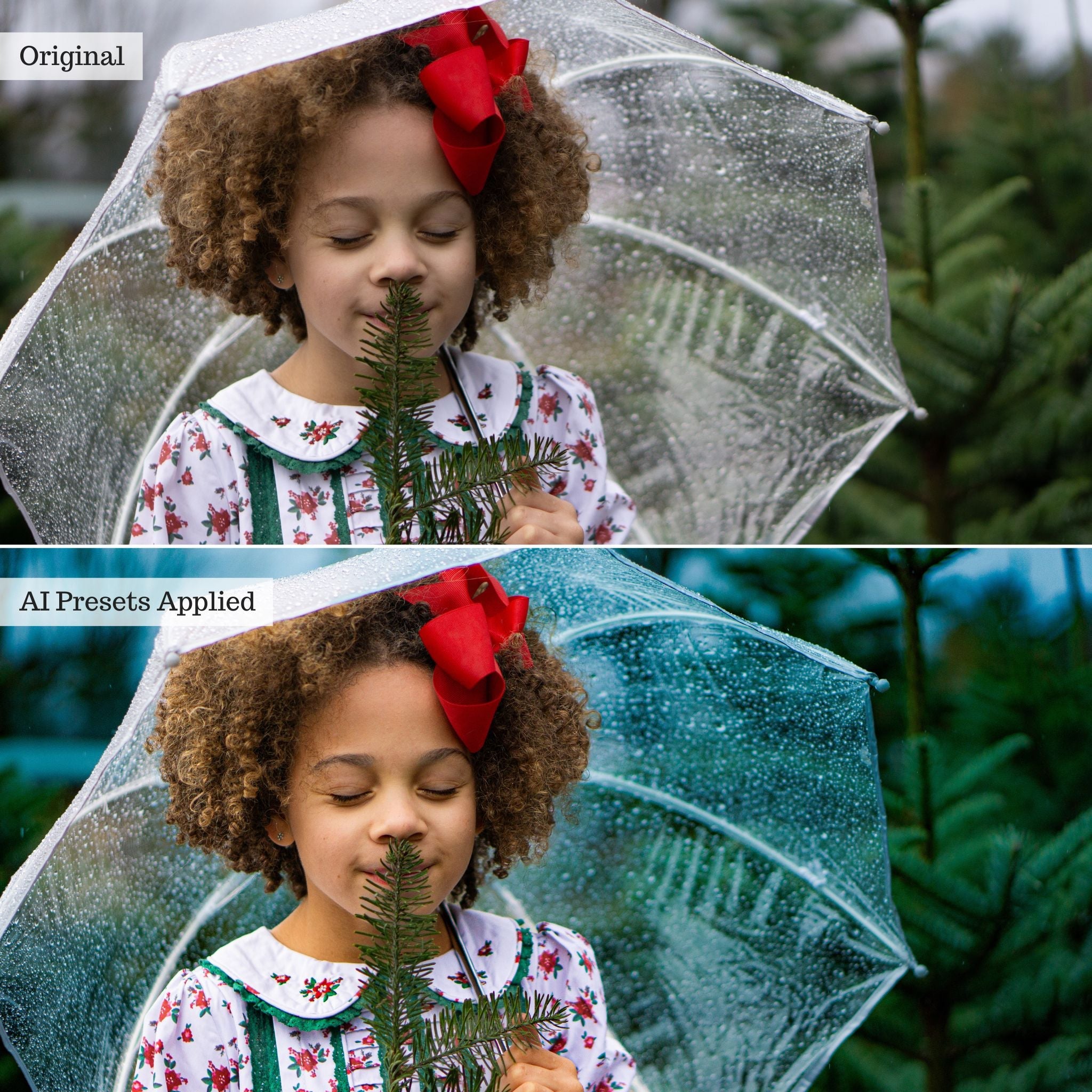 Luxe Portrait AI Adaptive Retouch Toolkit Lightroom Presets – Desktop & Mobile