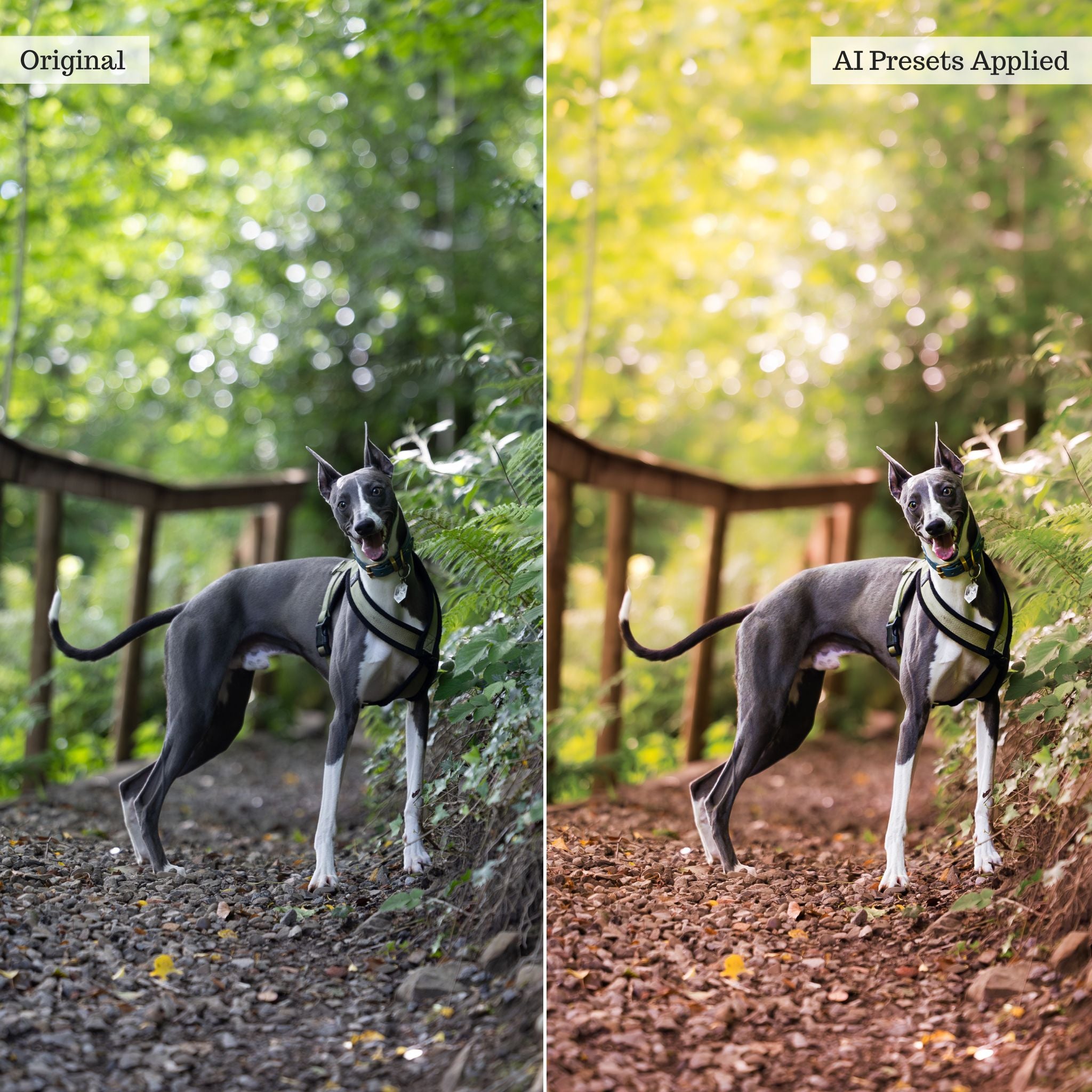 Landscape, Wildlife & Animals AI Adaptive Retouch Toolkit Lightroom Presets – Desktop & Mobile