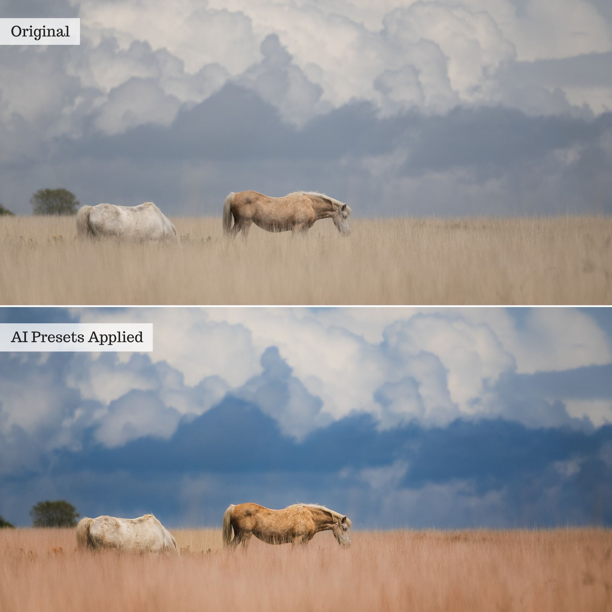 Landscape, Wildlife & Animals AI Adaptive Retouch Toolkit Lightroom Presets – Desktop & Mobile
