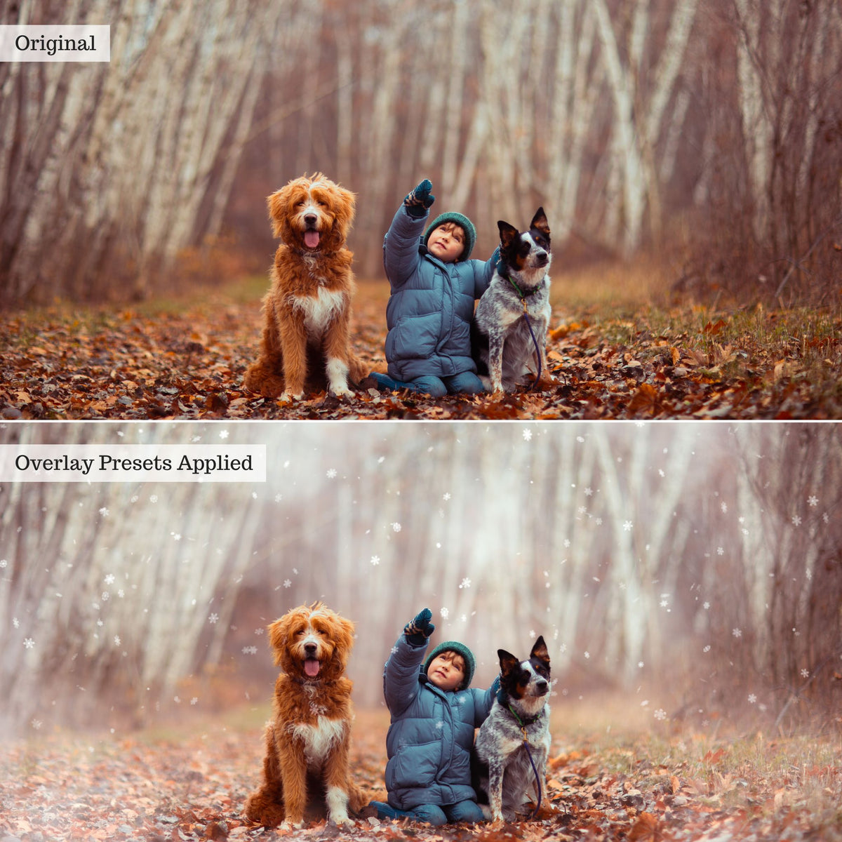 Luxe Overlay Lightroom Presets – Desktop & Mobile