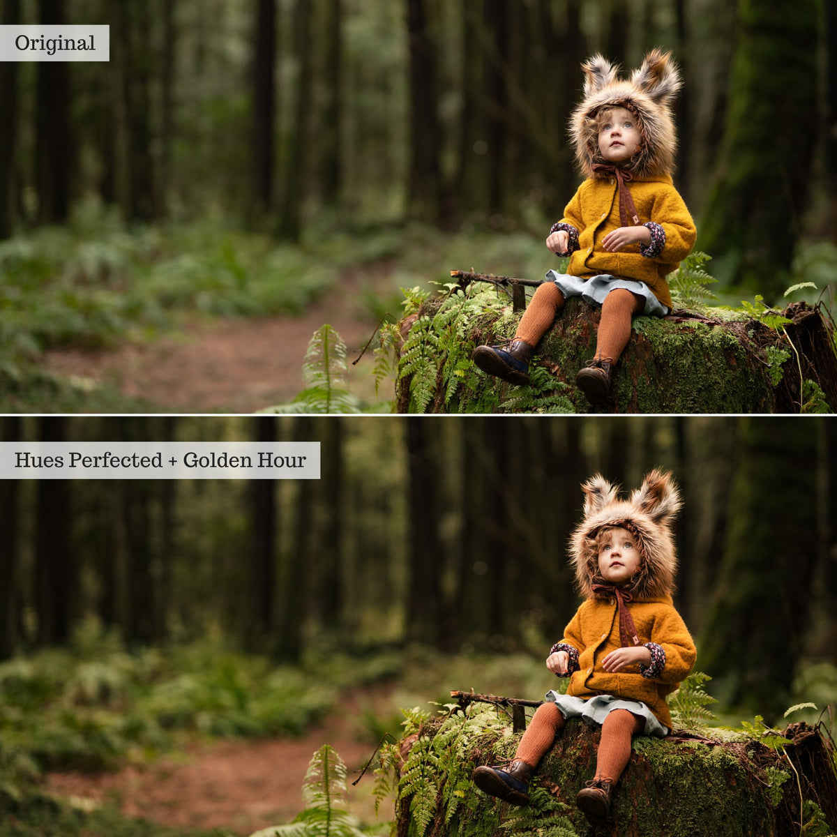 Luxe Pure Color Lightroom Presets & Profiles – Desktop & Mobile