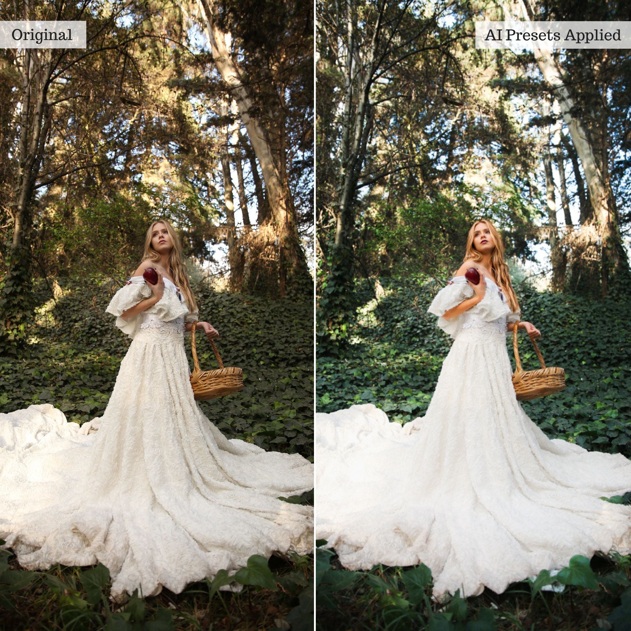 Rapid Retouch AI Adaptive Presets by PhotogAI