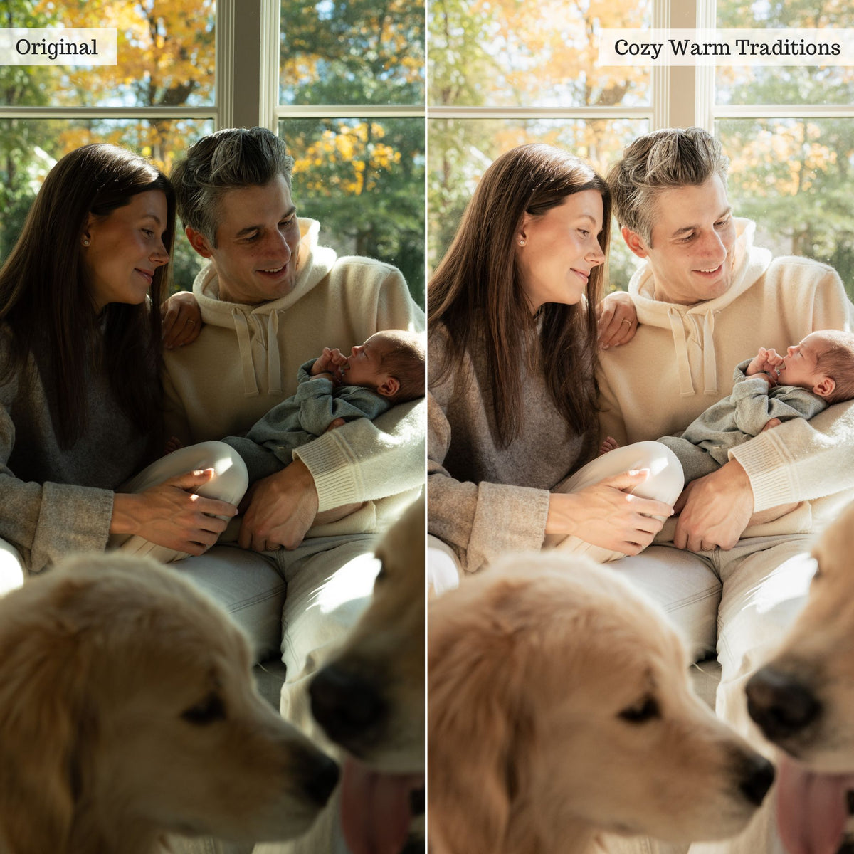 Luxe Indoor Family Lightroom Presets – Desktop & Mobile