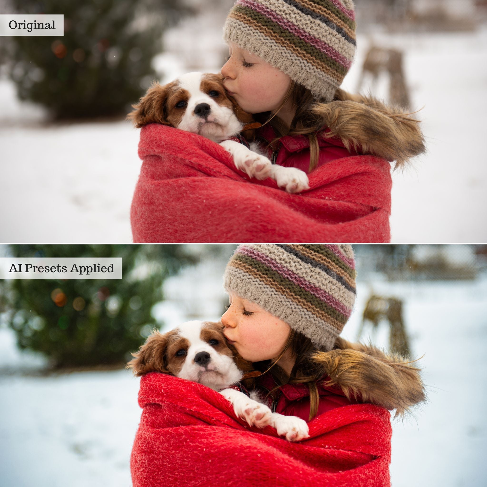 Luxe Portrait AI Adaptive Retouch Toolkit Lightroom Presets – Desktop & Mobile