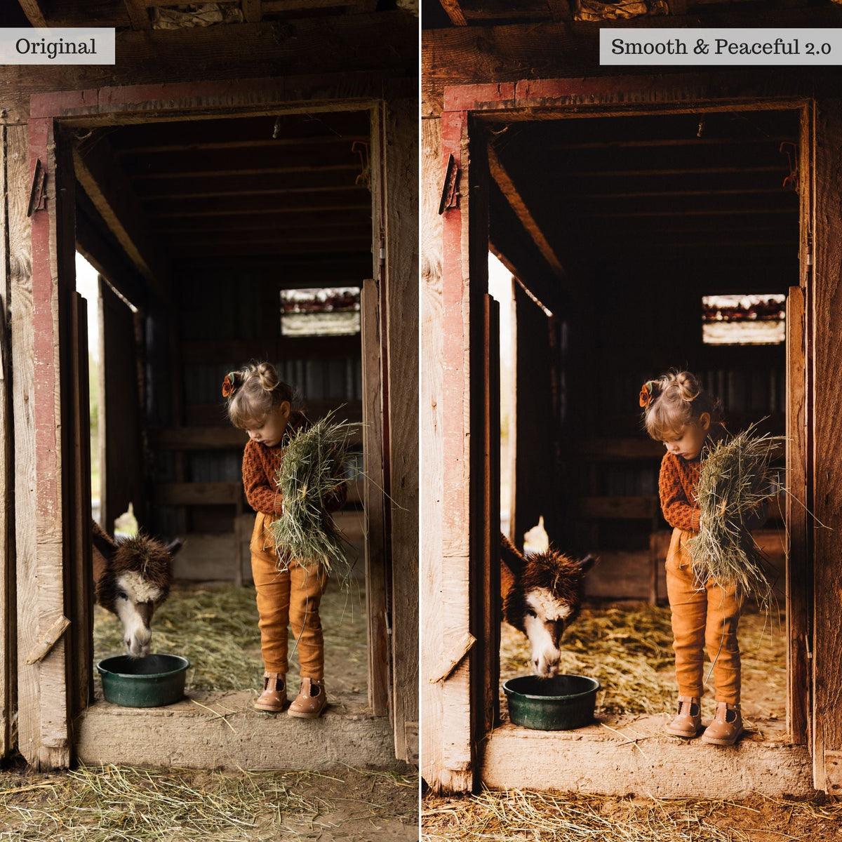 On the Farm 2.0 Lightroom Presets &amp; AI Tools– Desktop &amp; Mobile
