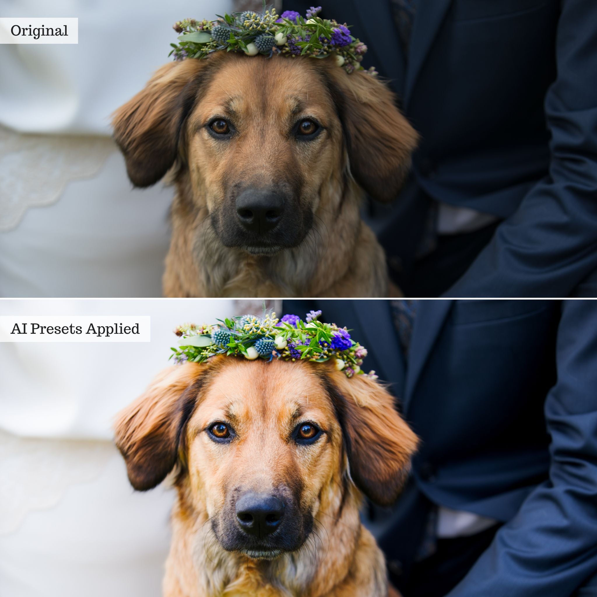 Luxe Wedding Pro AI Adaptive Retouch Toolkit Lightroom Presets – Desktop & Mobile