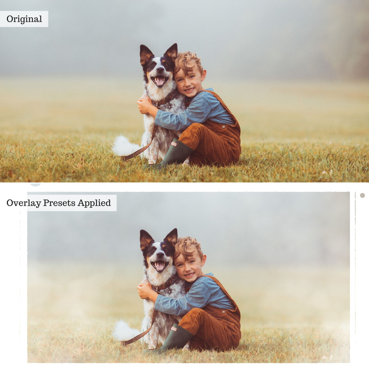 Luxe Overlay Lightroom Presets – Desktop & Mobile