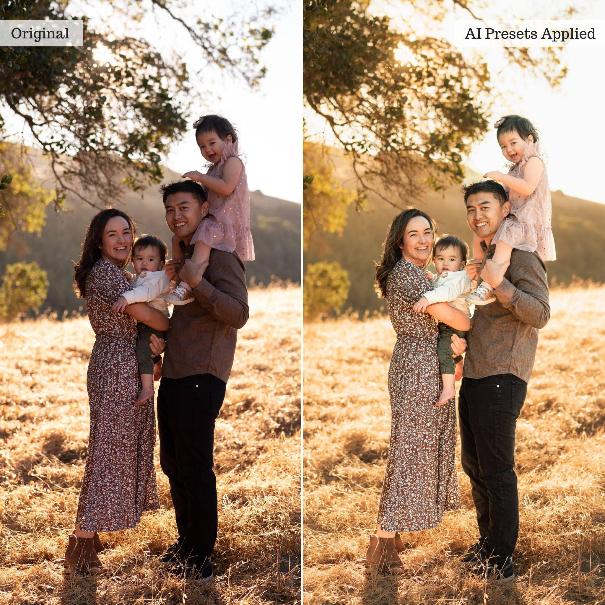 Luxe Portrait AI Adaptive Retouch Toolkit Lightroom Presets – Desktop & Mobile