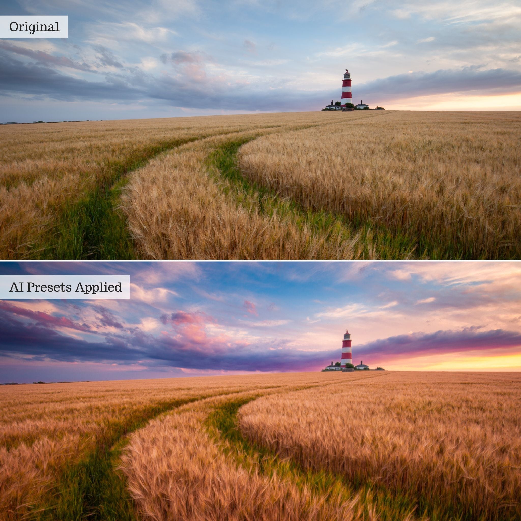 Rapid Retouch AI Adaptive Presets by PhotogAI