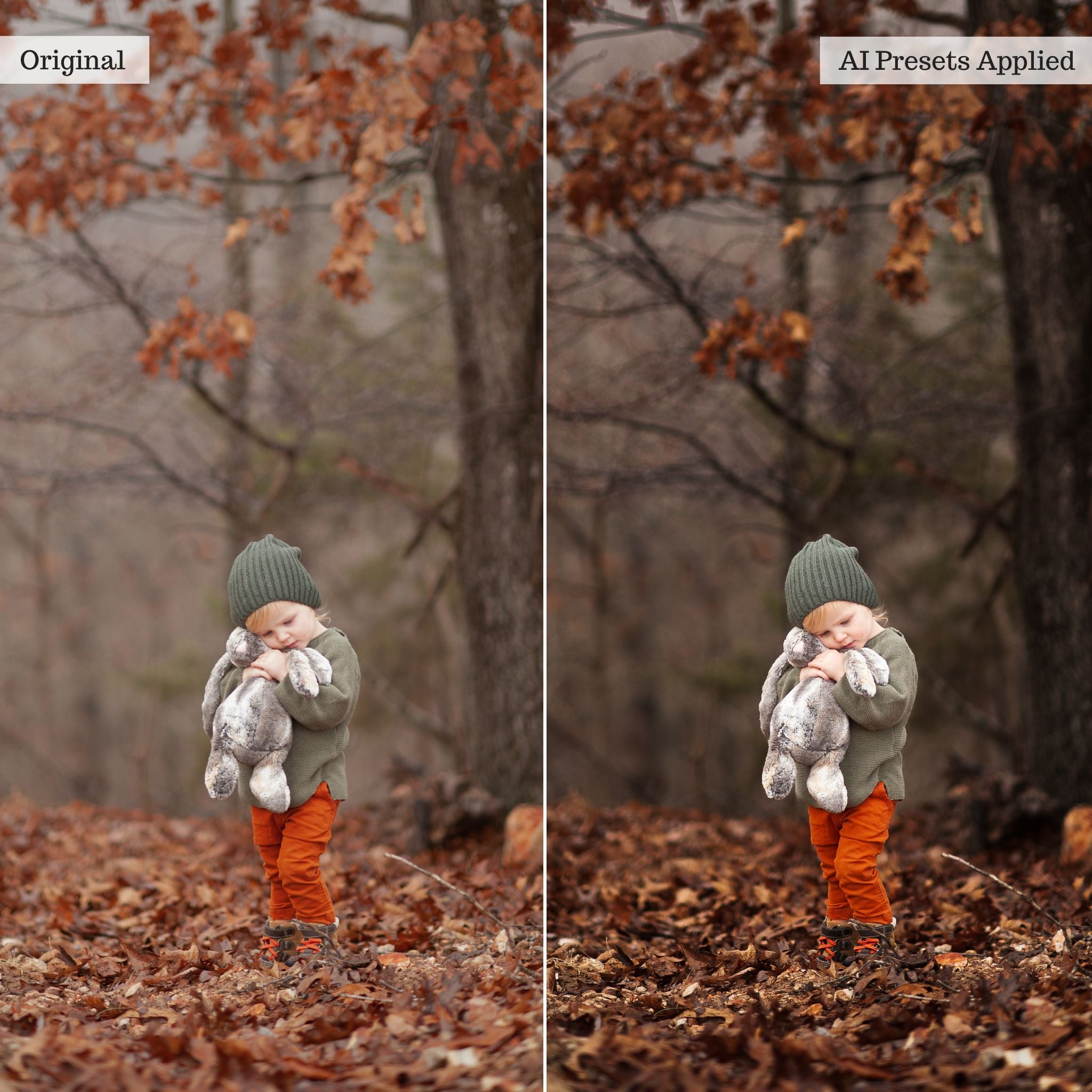 Rapid Retouch AI Adaptive Presets by PhotogAI