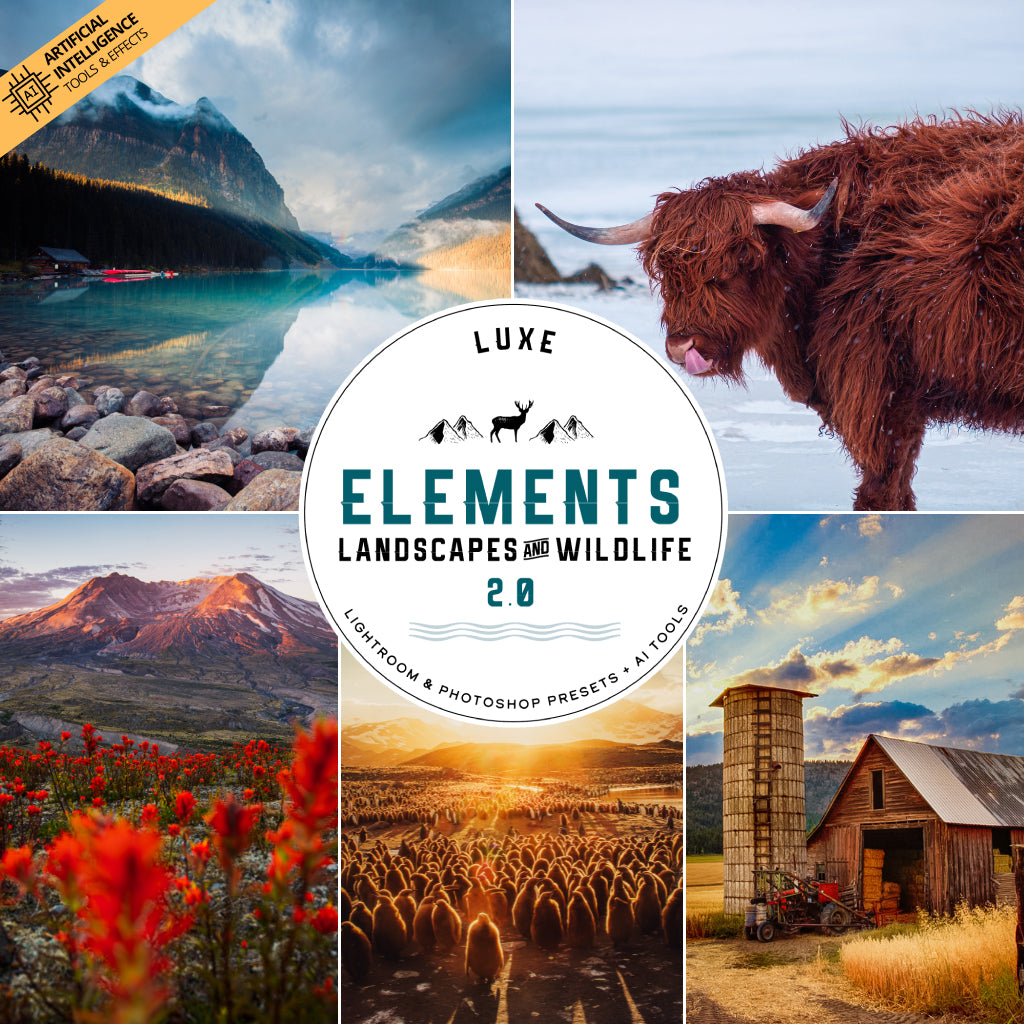 Elements - Landscapes &amp; Wildlife 2.0 Lightroom Presets &amp; AI Powered Tools – Desktop &amp; Mobile