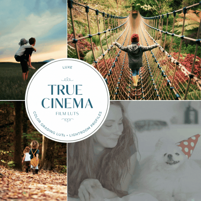 True Cinema LUTs & Lightroom Profiles  – Desktop & Mobile