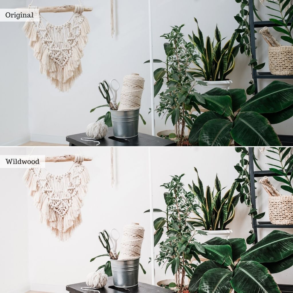 Wildwood Instagram Presets for Lightroom Mobile &amp; Desktop