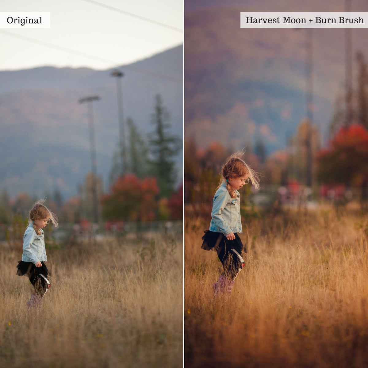 Luxe Touch of Tweed Autumn Lightroom Presets &amp; AI Tools v2.0 – Desktop &amp; Mobile