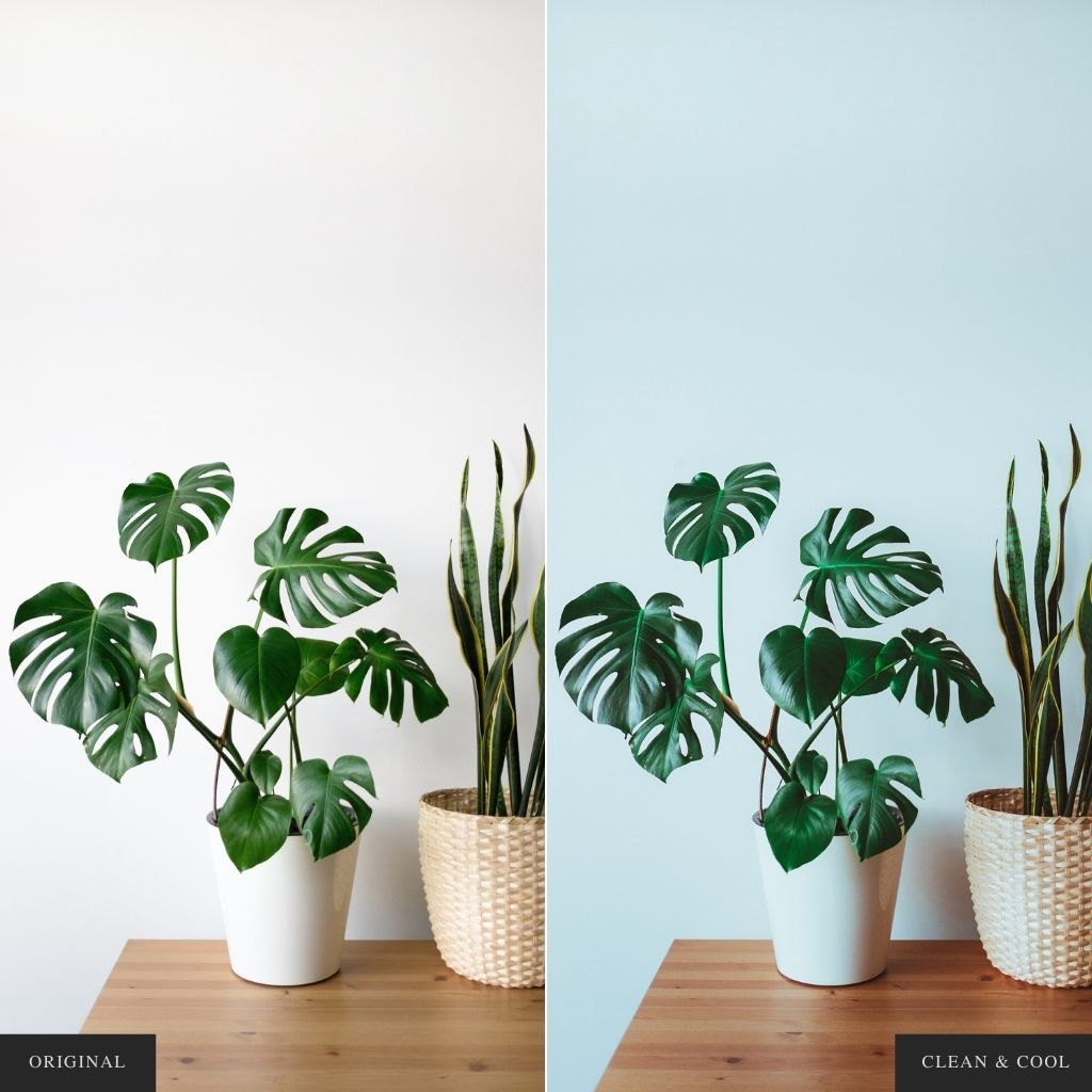 Clean &amp; Cool Instagram Presets for Lightroom Mobile &amp; Desktop