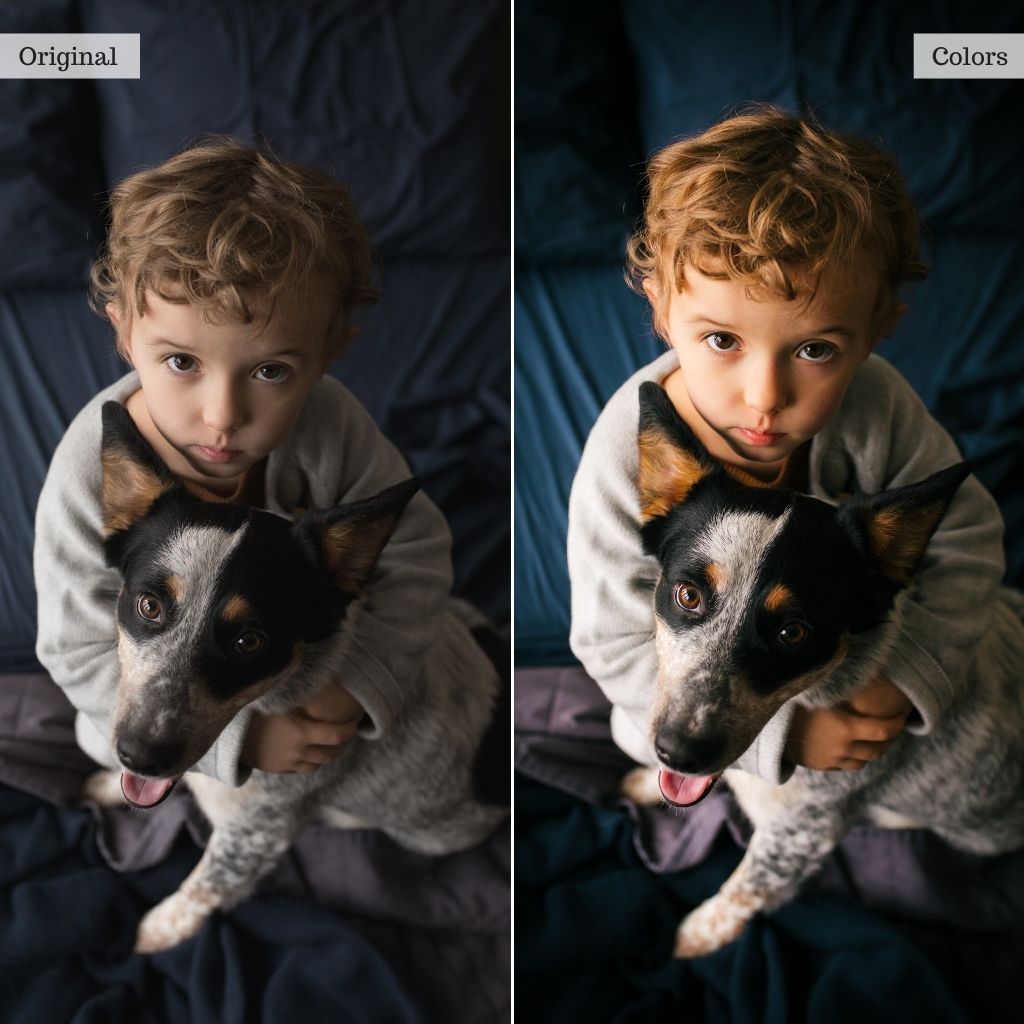 Luxe Portraits Lightroom Presets &amp; AI Tools v2.0 – Desktop &amp; Mobile