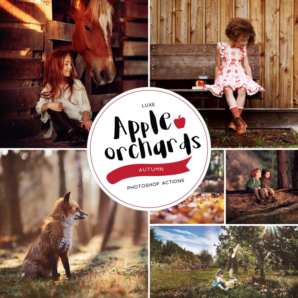 Apple Orchards Autumn Photoshop Actions