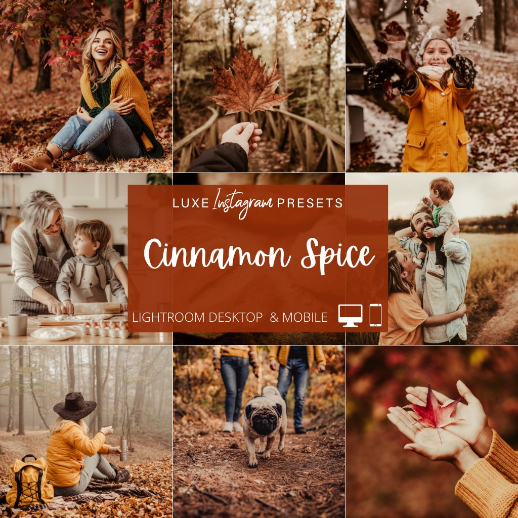Cinnamon Spice Instagram Presets for Lightroom Mobile &amp; Desktop