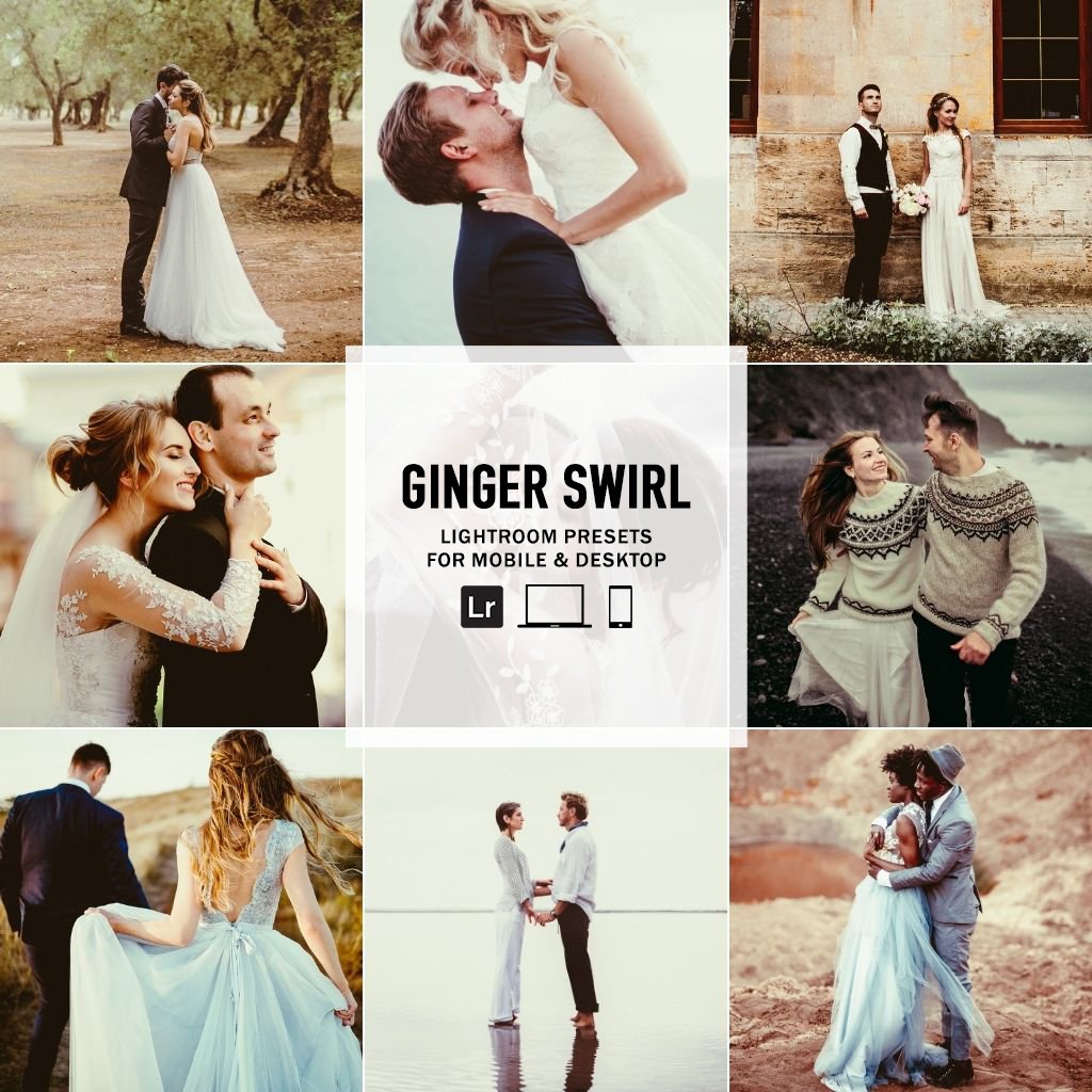 Ginger Swirl -  Single Color Palette Presets for Lightroom Mobile &amp; Desktop