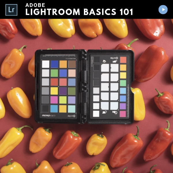 Lightroom Classic Basics Video Course