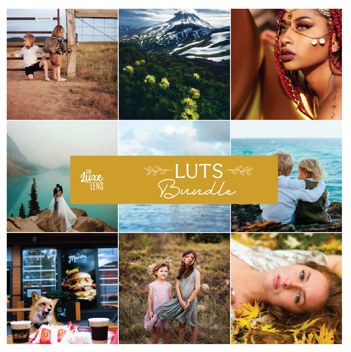 Luxe LUTS Bundle (8 Collections) – Desktop &amp; Mobile