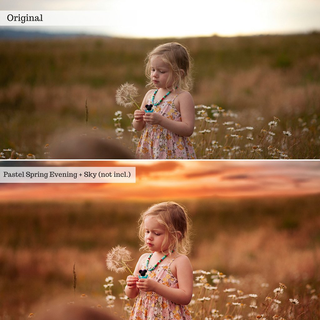 Everything Actions Bundle for Photoshop or Elements